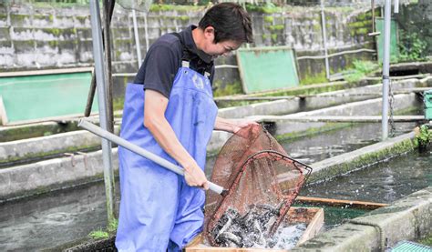 養魚種類